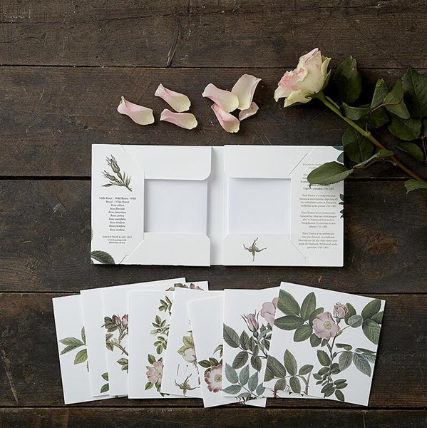 Kvadrat kortmappe - Wild Rose