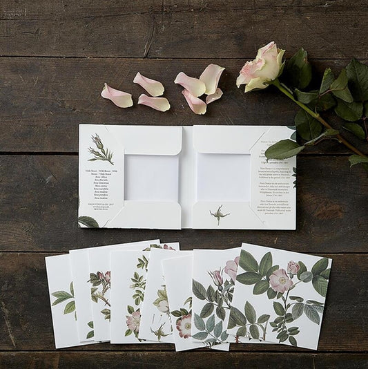 Kvadrat kortmappe - Wild Rose