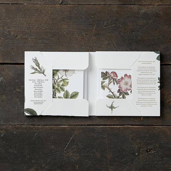 Kvadrat kortmappe - Wild Rose