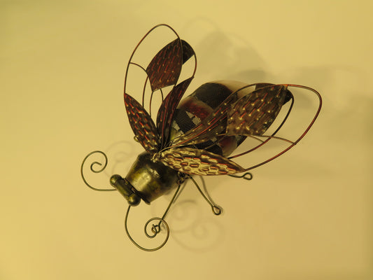 Lanterne Bi